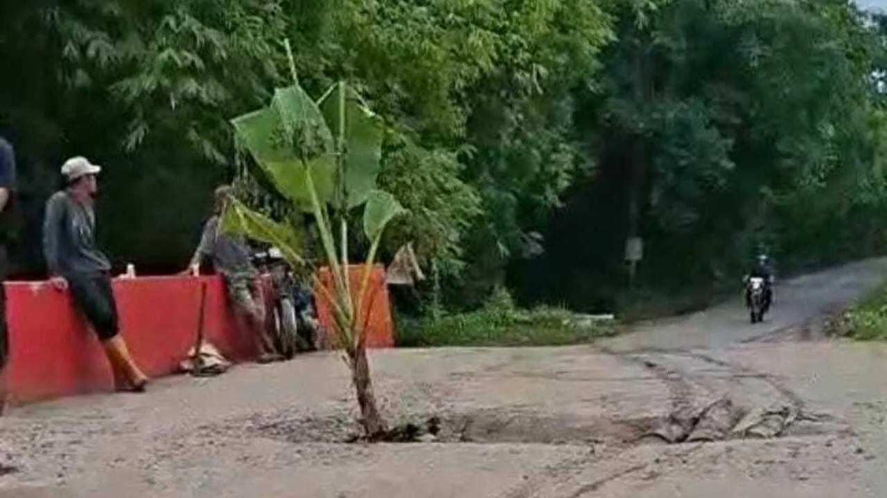 Warga Tanam Pisang di Jembatan Jebol Payaraman, DPRD Ogan Ilir Kritik Kualitas Pembangunan